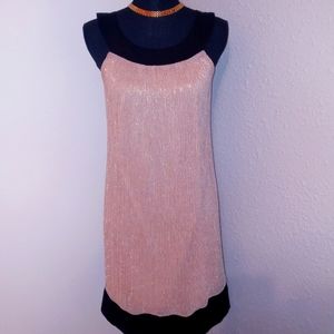 Gold/Silver Dress Enfocus Studio